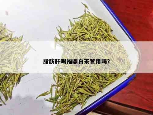 脂肪肝喝福鼎白茶管用吗？