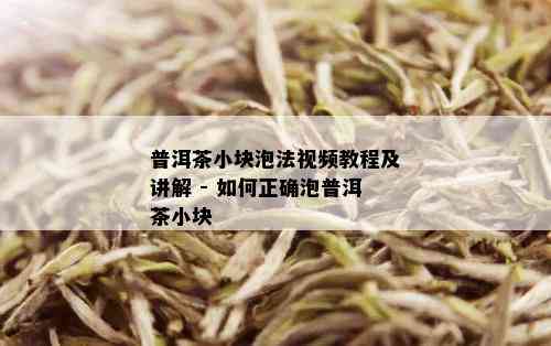 普洱茶小块泡法视频教程及讲解 - 如何正确泡普洱茶小块