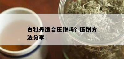 白牡丹适合压饼吗？压饼方法分享！