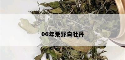 06年荒野白牡丹