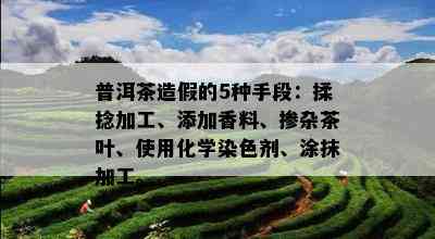 普洱茶造假的5种手段：揉捻加工、添加香料、掺杂茶叶、使用化学染色剂、涂抹加工。