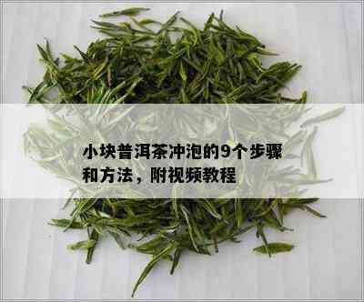 小块普洱茶冲泡的9个步骤和方法，附视频教程