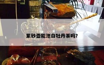 紫砂壶能泡白牡丹茶吗？