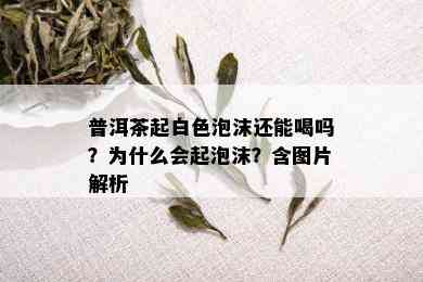 普洱茶起白色泡沫还能喝吗？为什么会起泡沫？含图片解析