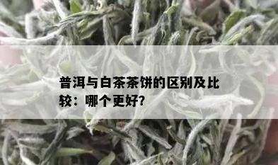 普洱与白茶茶饼的区别及比较：哪个更好？