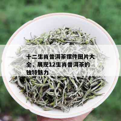 十二生肖普洱茶摆件图片大全，展现12生肖普洱茶的独特魅力