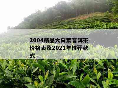 2004精品大白菜普洱茶价格表及2021年推荐款式