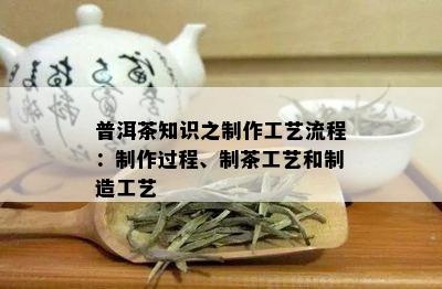 普洱茶知识之制作工艺流程：制作过程、制茶工艺和制造工艺