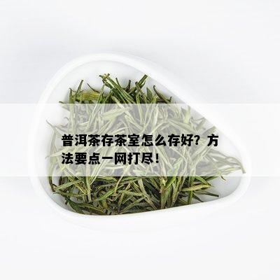 普洱茶存茶室怎么存好？方法要点一网打尽！