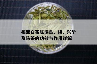 福鼎白茶陈德良、焕、兴华及陈茶的功效与作用详解