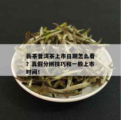 新茶普洱茶上市日期怎么看？真假分辨技巧和一般上市时间！