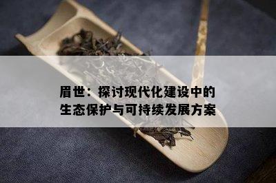 眉世：探讨现代化建设中的生态保护与可持续发展方案