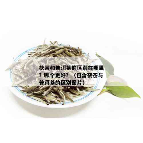 茯茶和普洱茶的区别在哪里？哪个更好？（包含茯茶与普洱茶的区别图片）