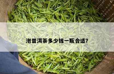 泡普洱茶多少钱一瓶合适？