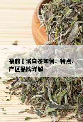 福鼎磻溪白茶如何：特点、产区品牌详解