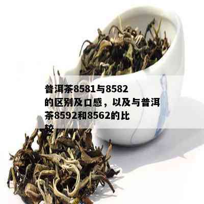 普洱茶8581与8582的区别及口感，以及与普洱茶8592和8562的比较