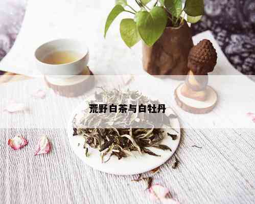 荒野白茶与白牡丹