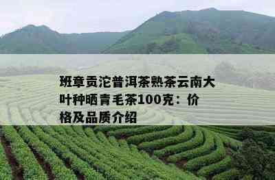 班章贡沱普洱茶熟茶云南大叶种晒青毛茶100克：价格及品质介绍