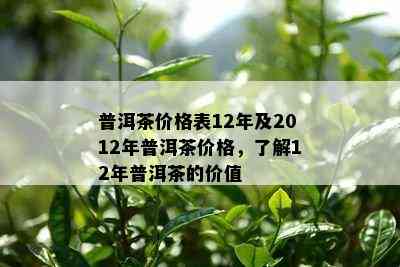 普洱茶价格表12年及2012年普洱茶价格，了解12年普洱茶的价值