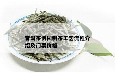 普洱茶博园制茶工艺流程介绍及门票价格