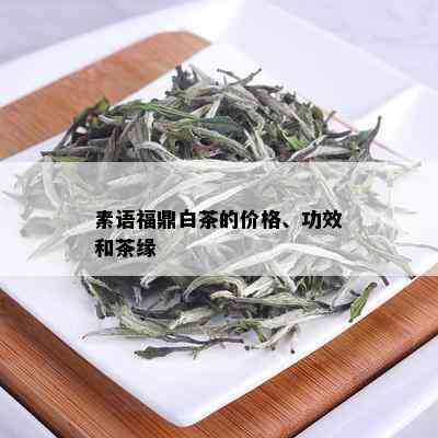 素语福鼎白茶的价格、功效和茶缘