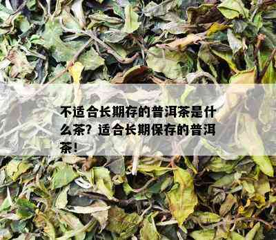 不适合长期存的普洱茶是什么茶？适合长期保存的普洱茶！