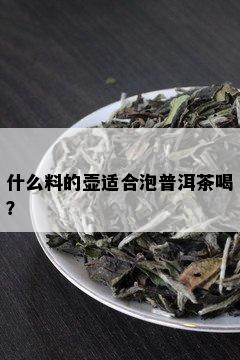 什么料的壶适合泡普洱茶喝？