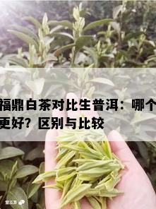 福鼎白茶对比生普洱：哪个更好？区别与比较