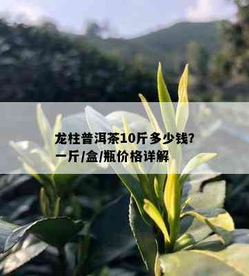 龙柱普洱茶10斤多少钱？一斤/盒/瓶价格详解