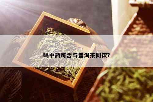 喝中可否与普洱茶同饮？