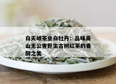 白天峨茶业白牡丹：品味高山无公害野生古树红茶的香醇之美