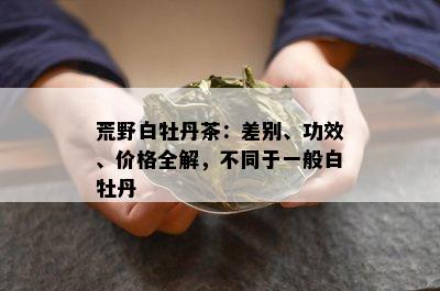 荒野白牡丹茶：差别、功效、价格全解，不同于一般白牡丹