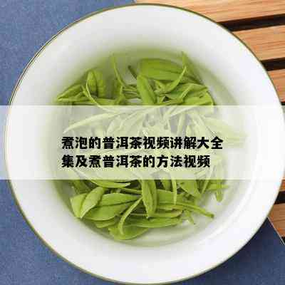 煮泡的普洱茶视频讲解大全集及煮普洱茶的方法视频