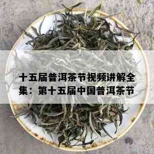 十五届普洱茶节视频讲解全集：第十五届中国普洱茶节