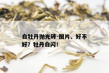 白牡丹抛光砖-图片、好不好？牡丹白闪！