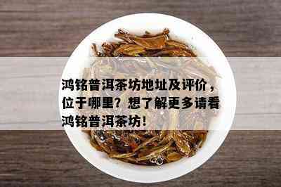 鸿铭普洱茶坊地址及评价，位于哪里？想了解更多请看鸿铭普洱茶坊！