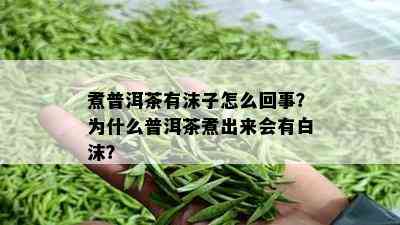 煮普洱茶有沫子怎么回事？为什么普洱茶煮出来会有白沫？