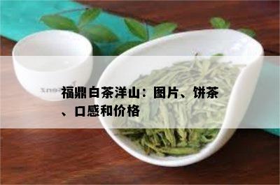 福鼎白茶洋山：图片、饼茶、口感和价格