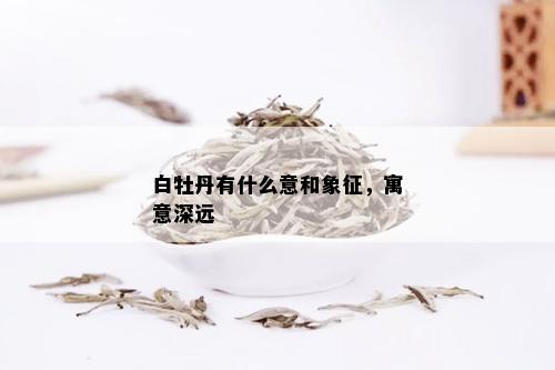 白牡丹有什么意和象征，寓意深远