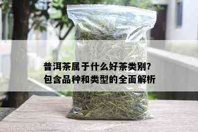 普洱茶属于什么好茶类别？包含品种和类型的全面解析