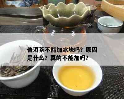 普洱茶不能加冰块吗？原因是什么？真的不能加吗？