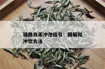 福鼎白茶冲泡指引：图解和冲饮方法