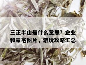 三正半山是什么意思？企业和豪宅图片，游玩攻略汇总