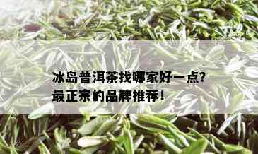 冰岛普洱茶找哪家好一点？最正宗的品牌推荐！