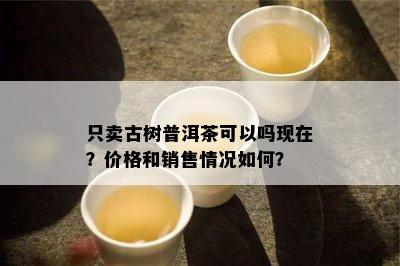 只卖古树普洱茶可以吗现在？价格和销售情况如何？