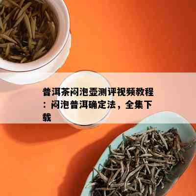 普洱茶闷泡壶测评视频教程：闷泡普洱确定法，全集下载