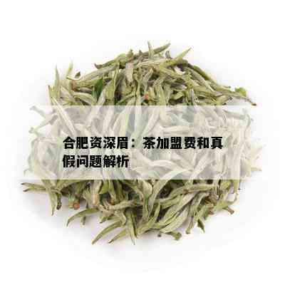 合肥资深眉：茶加盟费和真假问题解析