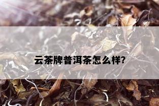 云茶牌普洱茶怎么样？