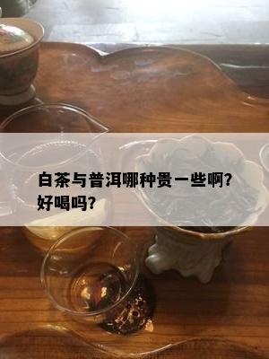 白茶与普洱哪种贵一些啊？好喝吗？