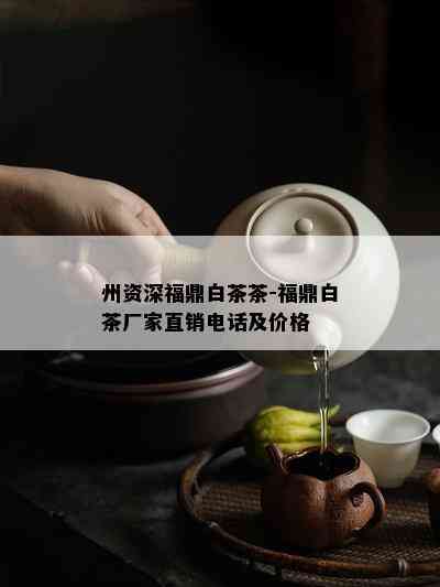 州资深福鼎白茶茶-福鼎白茶厂家直销电话及价格